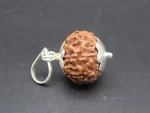 8 Mukhi Rudraksha