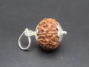 8 Mukhi Rudraksha