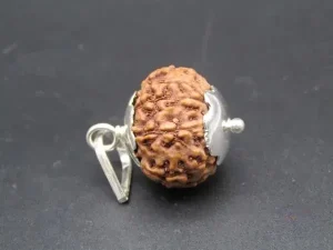 8 Mukhi Rudraksha