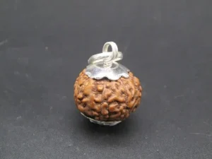 8 Mukhi Rudraksha