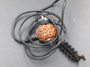 8 Mukhi Rudraksha