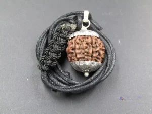8 Mukhi Rudraksha