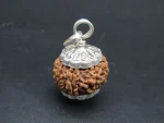 8 Mukhi Rudraksha