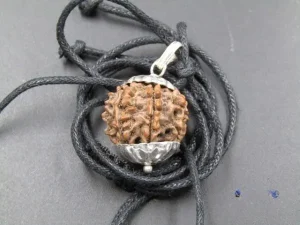 8 Mukhi Rudraksha