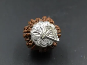 8 Mukhi Rudraksha