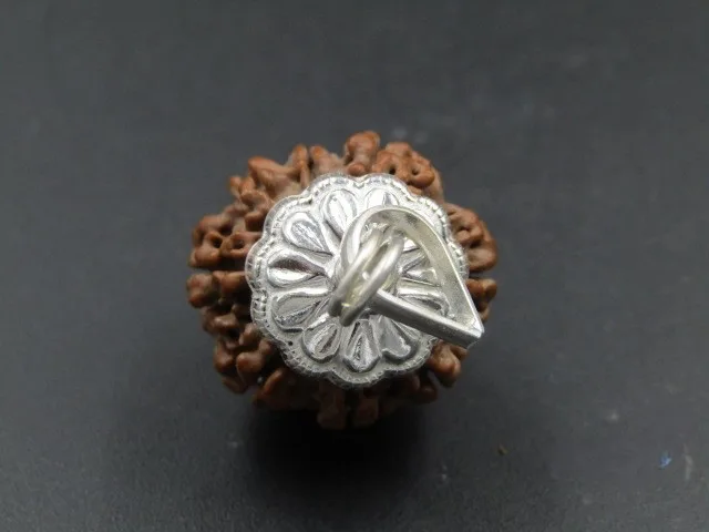 8 Mukhi Rudraksha