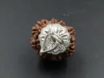 8 Mukhi Rudraksha