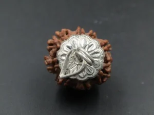 8 Mukhi Rudraksha