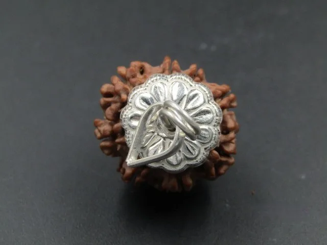 8 Mukhi Rudraksha
