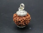8 Mukhi Rudraksha