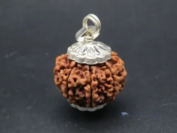8 Mukhi Rudraksha