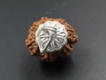 8 Mukhi Rudraksha