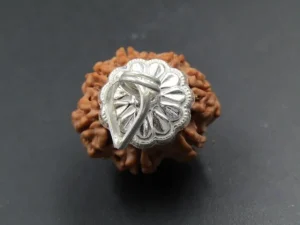 8 Mukhi Rudraksha