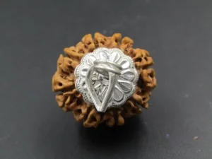 8 Mukhi Rudraksha