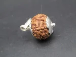 8 Mukhi Rudraksha