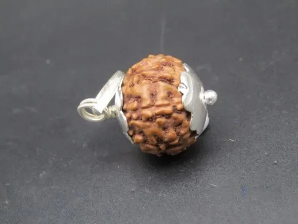 8 Mukhi Rudraksha