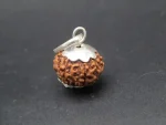 8 Mukhi Rudraksha