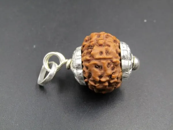 8 Mukhi Rudraksha