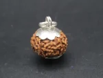 8 Mukhi Rudraksha