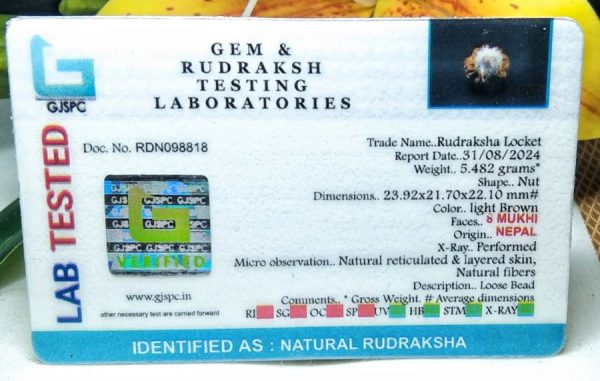 8 mukhi certificate pic