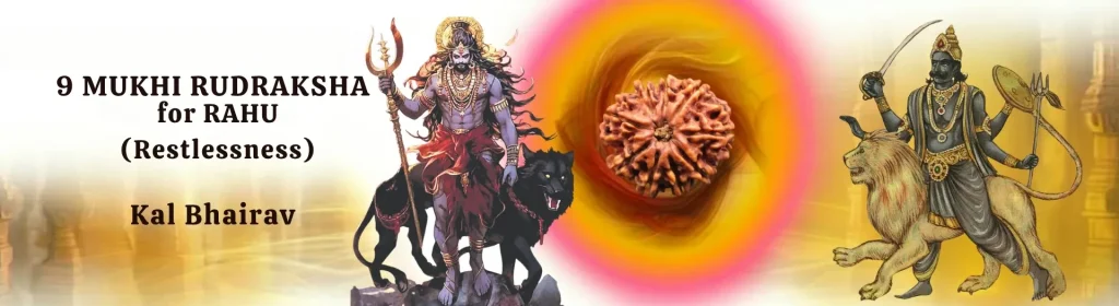9 MUKHI RUDRAKSHA banner