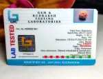 9 Mukhi Certificate