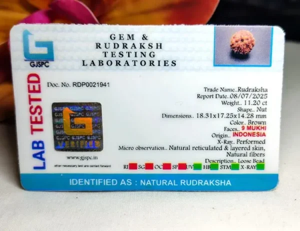 9 Mukhi Certificate