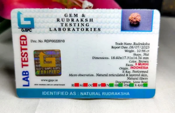 9 Mukhi Certificate