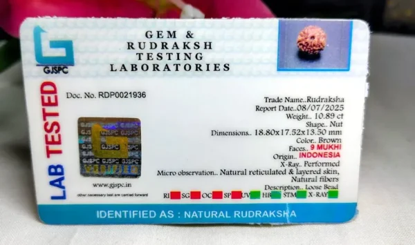 9 Mukhi Certificate