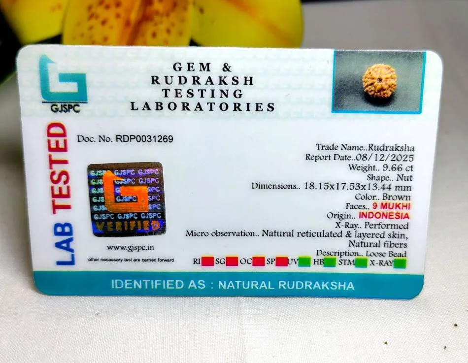 9 Mukhi Certificate