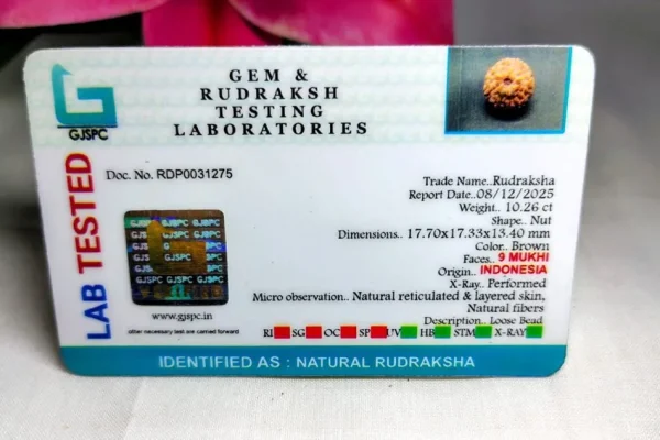 9 Mukhi Certificate