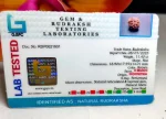 9 Mukhi Certificate