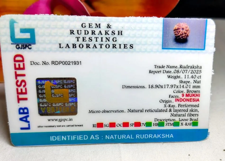 9 Mukhi Certificate