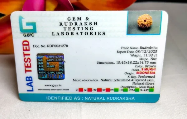 9 Mukhi Certificate