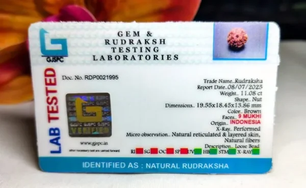 9 Mukhi Certificate