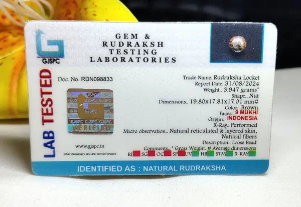 9 Mukhi Certificate