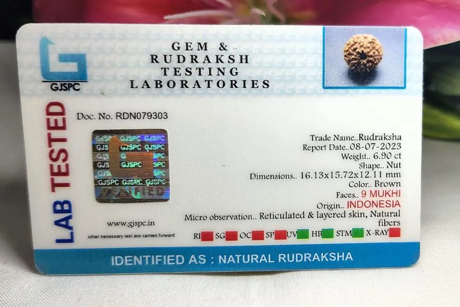 9 Mukhi Certificate