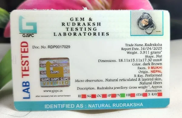 9 Mukhi Certificate