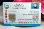 9 Mukhi Certificate