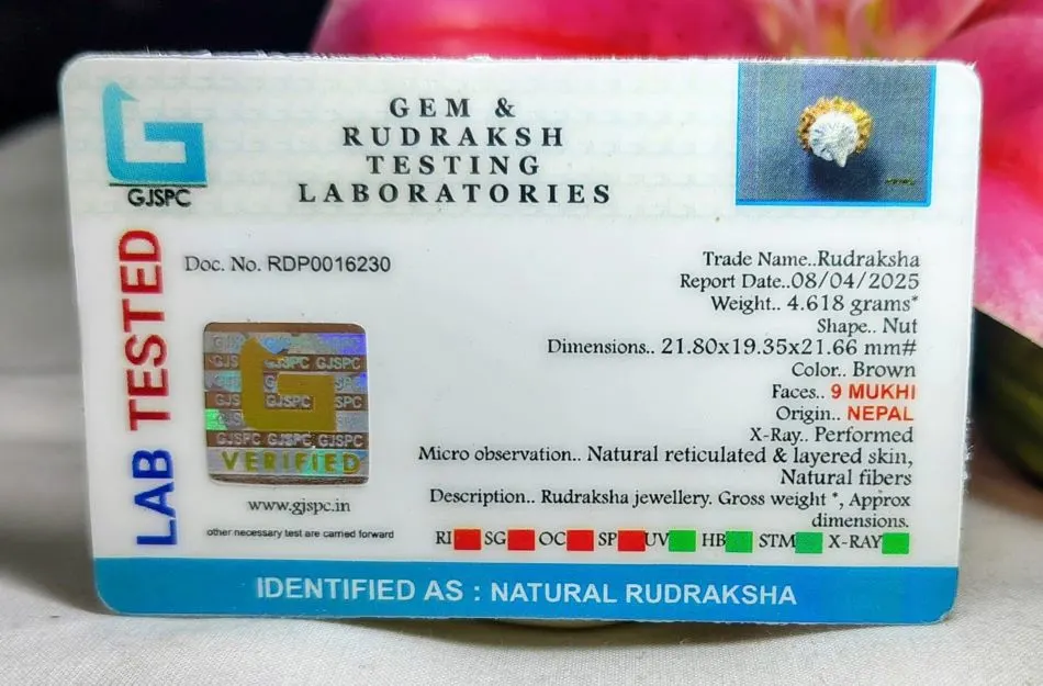 9 Mukhi Certificate