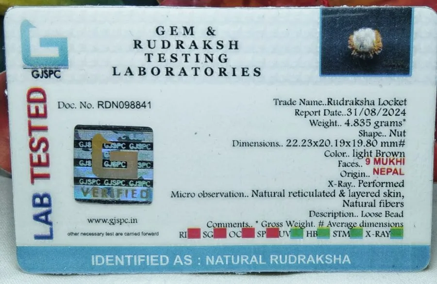 9 Mukhi Certificate