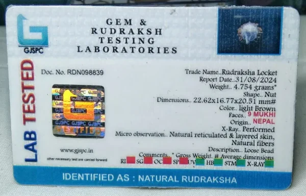 9 Mukhi Certificate