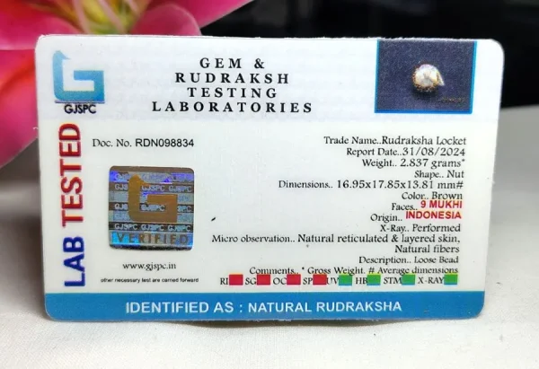 9 Mukhi Certificate