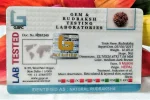 9 Mukhi Certificate
