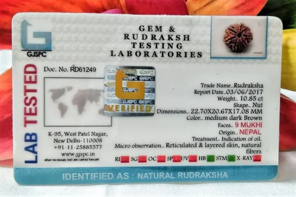9 Mukhi Certificate