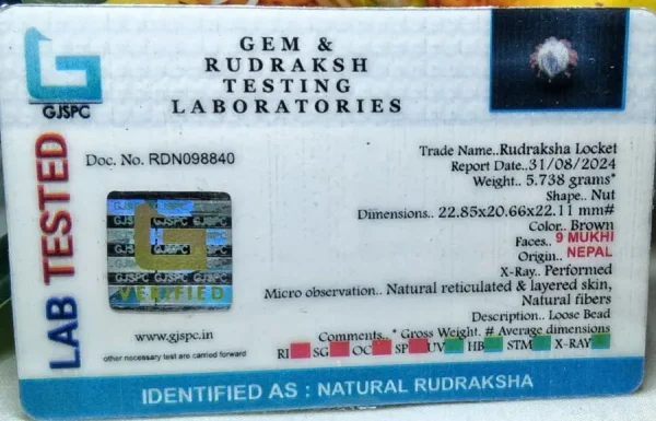 9 Mukhi Certificate