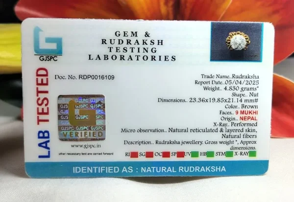 9 Mukhi Certificate