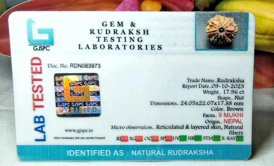 9 Mukhi Certificate