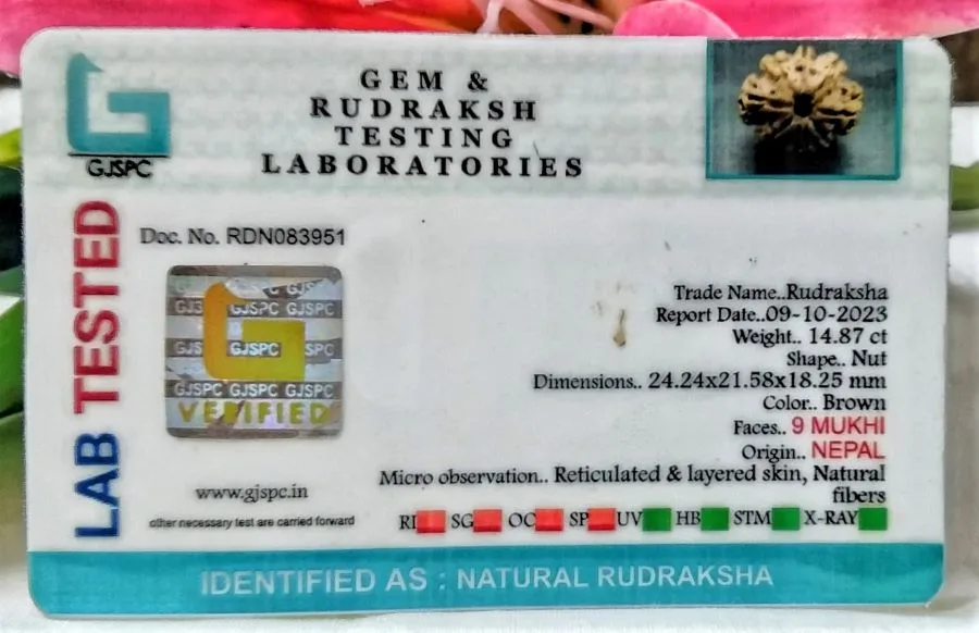 9 Mukhi Certificate