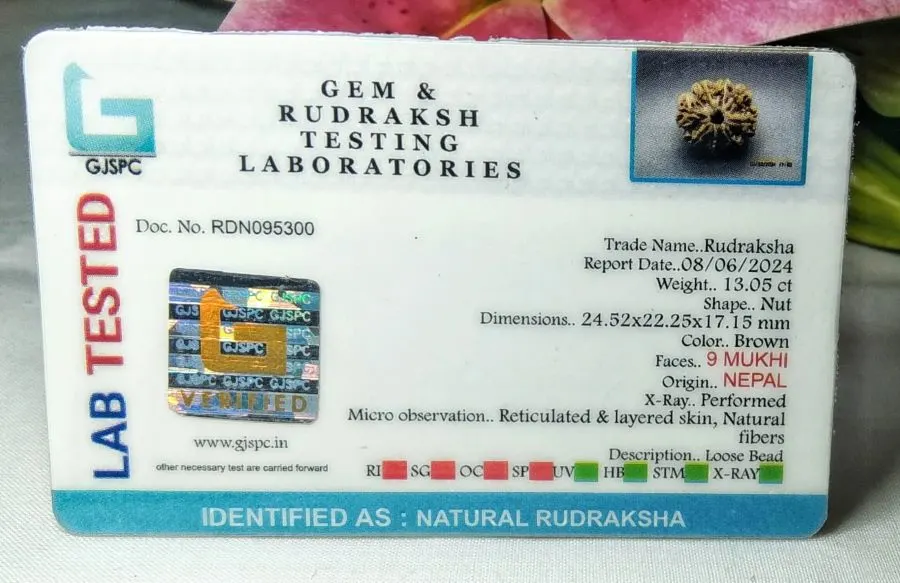 9 Mukhi Certificate
